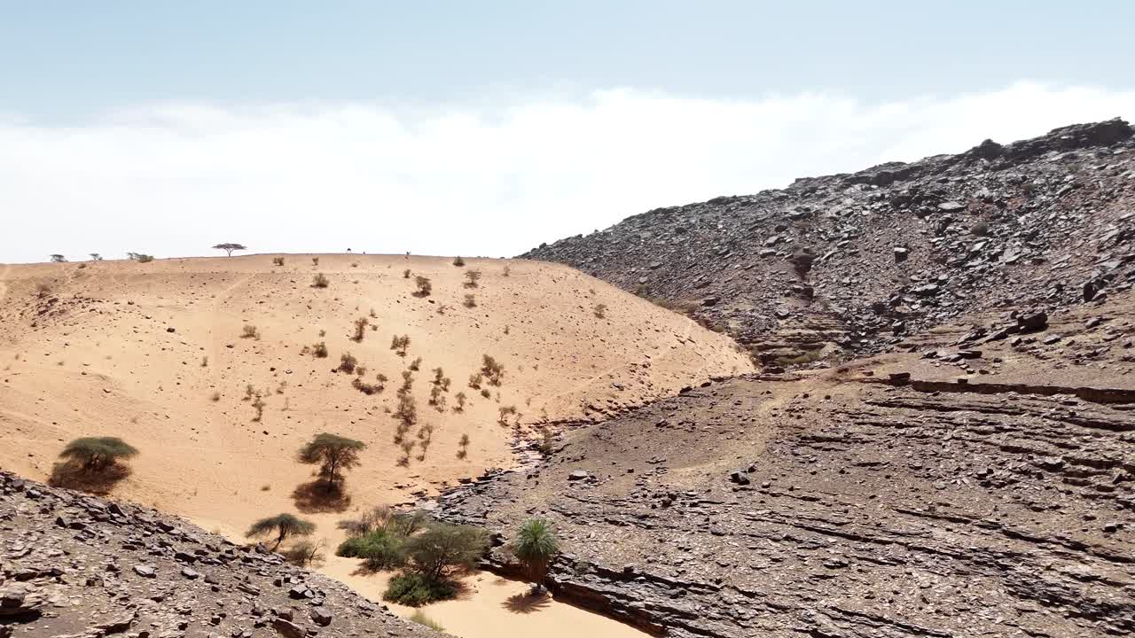 Tampilan drone udara dari formasi basal berbatu yang bertemu dengan bukit pasir gurun di Mauritania, hutan belantara Sahara dengan pohon palem yang tersebar dan lanskap kering