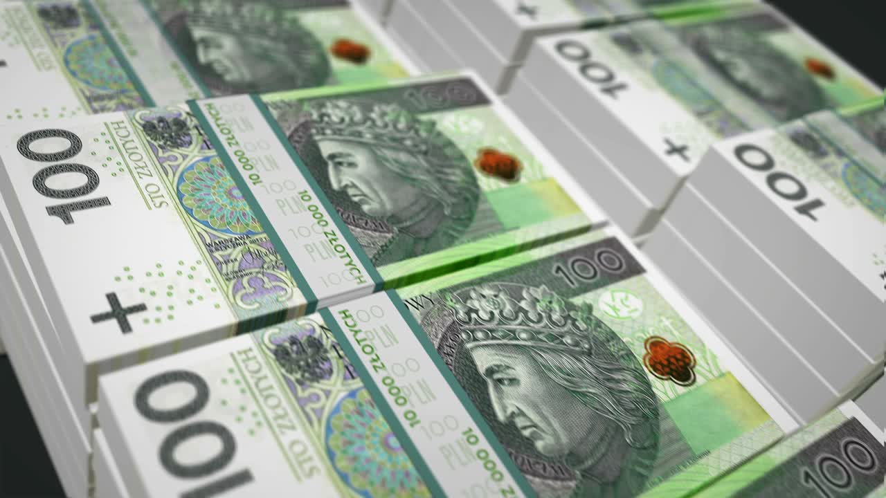 zloty polaco pln billetes de dinero paquete de bucle sin costuras