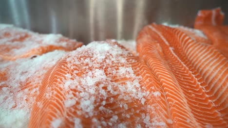 closeup of industrial salting and preparation of salmon fish fillets - salt falling down to fish in slow motion