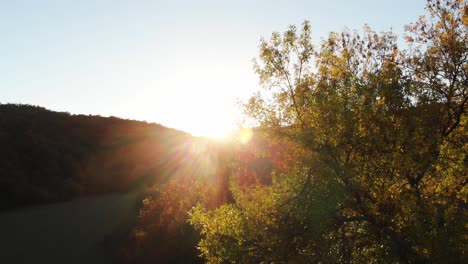 aerial epic drone shot of sun rays in grass field surrounded by forest at sunset-8