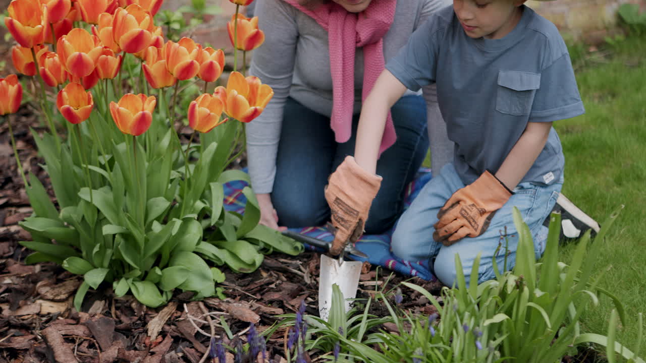 가족 들 이 함께 정원 을 가꾸는 것
