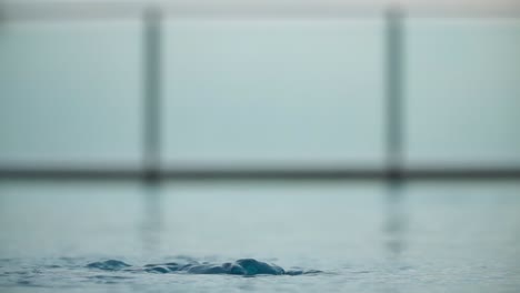 water bubbled up in the pool. close-up