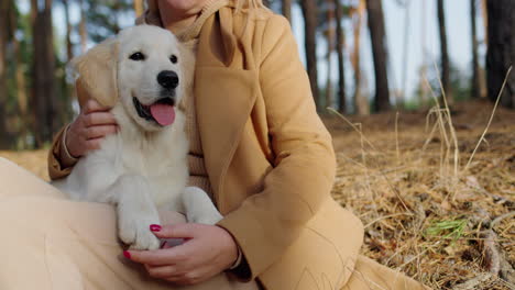 cute middle-aged woman relaxing in the forest with a golden retriever puppy