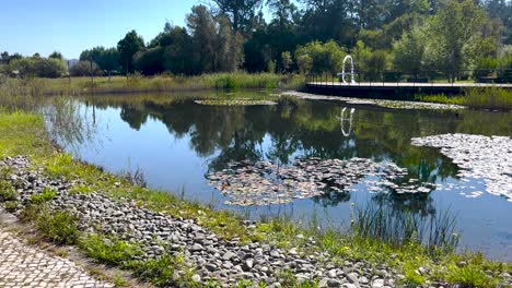 Zoom-in-clean-pond-with-leaves-on-top-in-Lisbon,-Portugal-in-the-summer