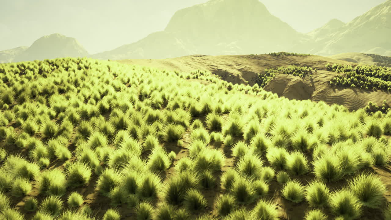 Lush grass landscape with distant mountains under a pale sky