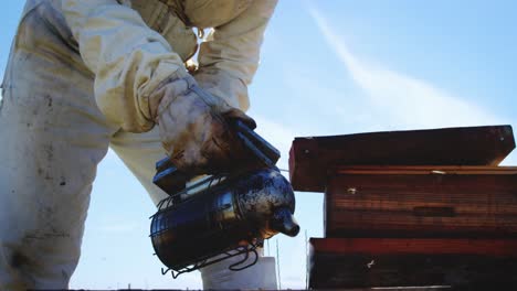 Imker-Raucht-Die-Bienen-Vom-Bienenstock-Weg