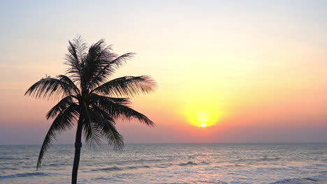 topical golden sunset over the sea with silhouetted palm tree in foreground, slow motion of waves rolling towards the beach