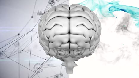 compuesto digital del cerebro