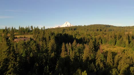 rising above the oregon trees to see mt. hood covered in snow at sunrise