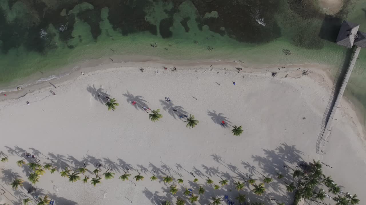 drone de arriba hacia abajo vista de pájaro de las sombras de las palmeras de coco a través de la playa de arena