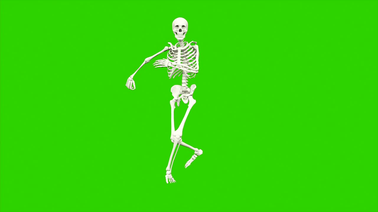 danza dello scheletro. animazione a loop senza soluzione di continuità sullo schermo verde.