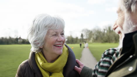 laughing senior couple enjoying autumn or winter walk through park together