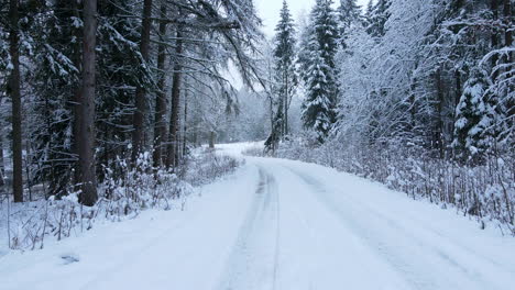 driving through the forest on snow covered road