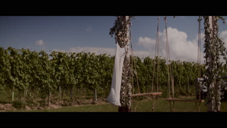 elegant wedding dress in a vineyard setting