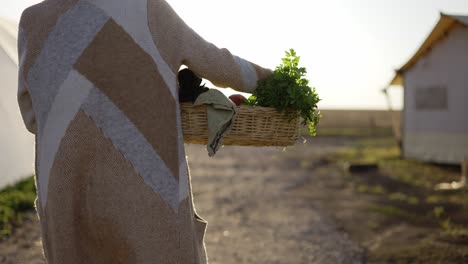 rear view of unrecognizable woman walking by farm, carrying fresh vegetables or plants