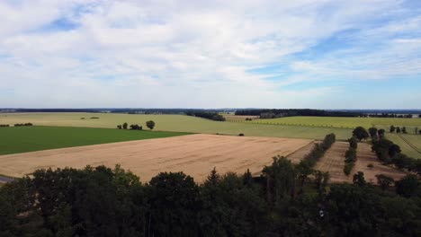 Naturaleza-Pintada-Como-Si-Fuera-Un-Artista-Hermosa-Vista-Aérea-Vuelo-Volar-Hacia-Atrás-Imágenes-De-Drones-Del-Campo-De-Trigo-Maizal-En-Europa-Sajonia-Anhalt-En-El-Verano-De-2022