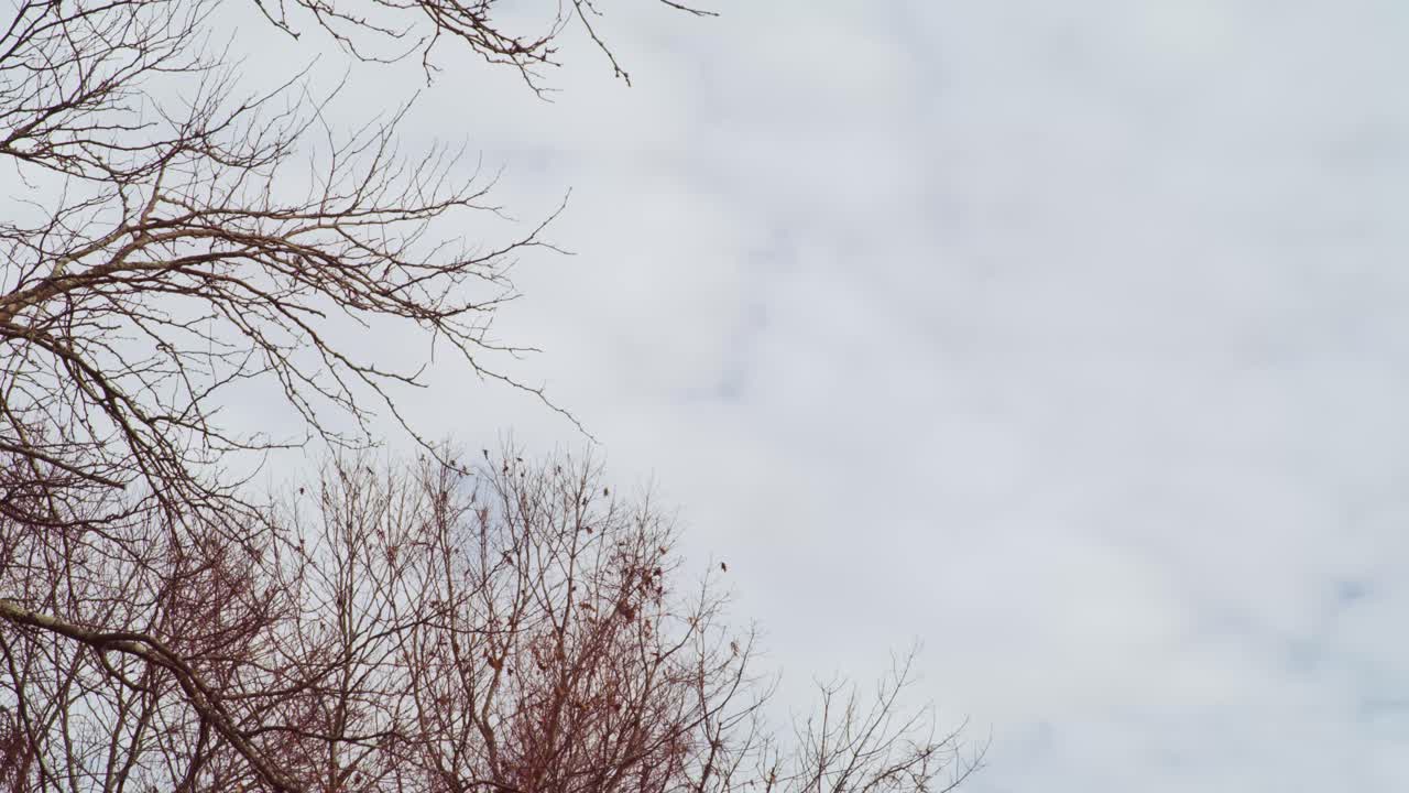 가을의 하늘 - 시간의 흐름