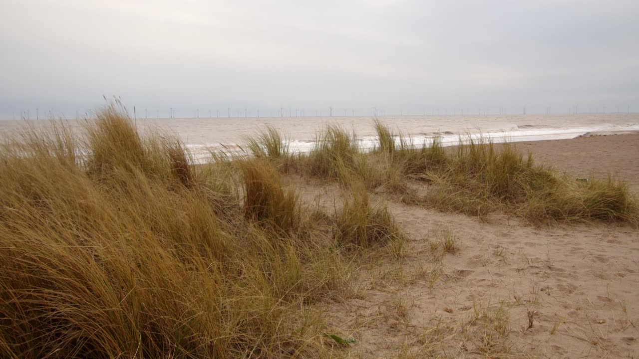 동쪽을 바라보며 모래 언덕과 마람 풀과 바다를 보며 잉골드멜스, 스케그니스 해변