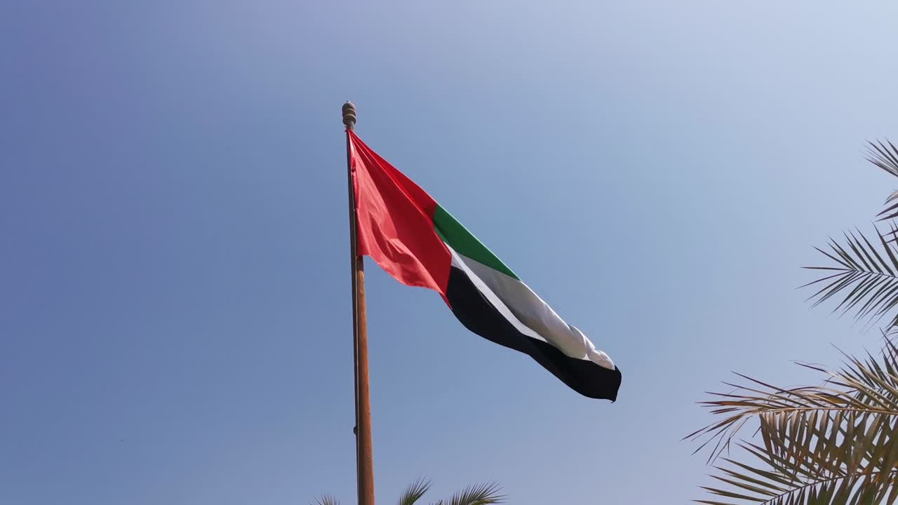 bandera nacional de la ue y hojas de palma de dátiles contra el fondo del cielo azul.
