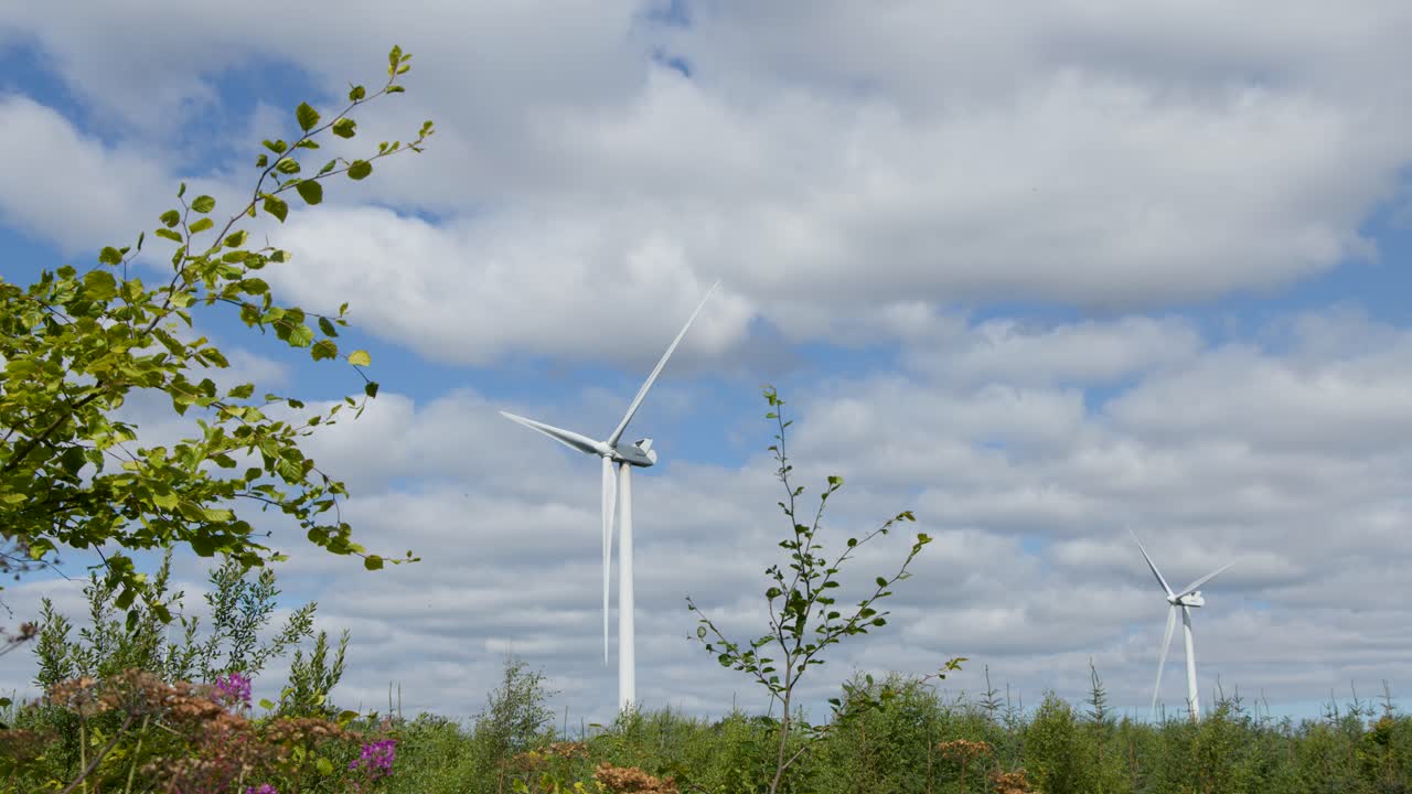 Wind turbines slowly rotate above green landscape, captured in daylight with steady wide shot framing