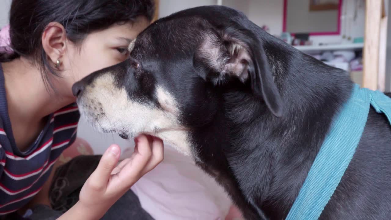 Menina jovem acariciando suavemente seu cão dentro de casa.