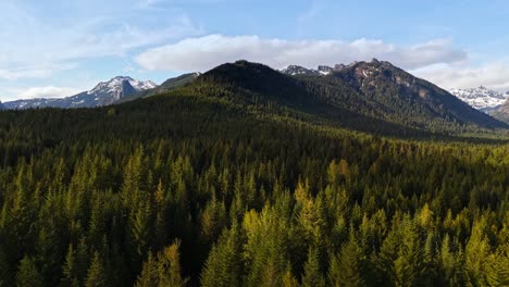 aerial view of washington state landscapes and evergreen forest with mountains in the background at gold creek pond