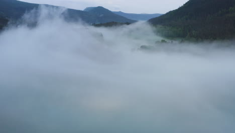 flight over a foggy river. the mist is hanging low over the landscape creating a dark mystical mood over the whole scene