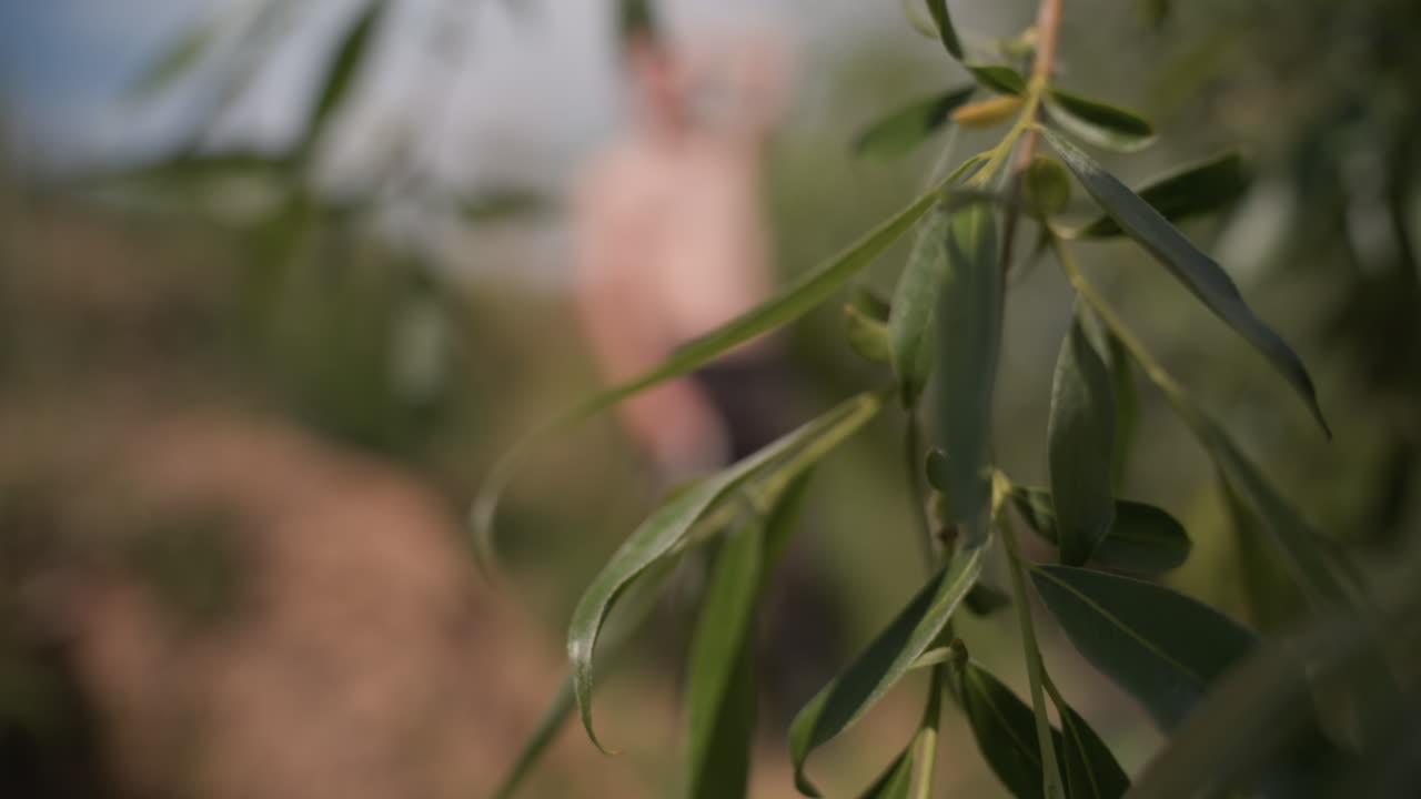 blurred adventurer loosening headband behind sharp leafy branch tip with riverbank and cloudy sky background conveying tension relief during outdoor survival training under natural sunlight