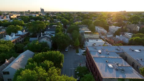 lush green trees in city neighborhood