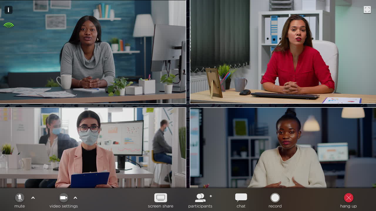 Video Call with Business Professionals