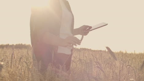 Junge-Bäuerin-Arbeitet-Bei-Sonnenuntergang-Mit-Tablet-Auf-Dem-Feld.-Die-Inhaberin-Eines-Kleinen-Geschäftskonzepts.