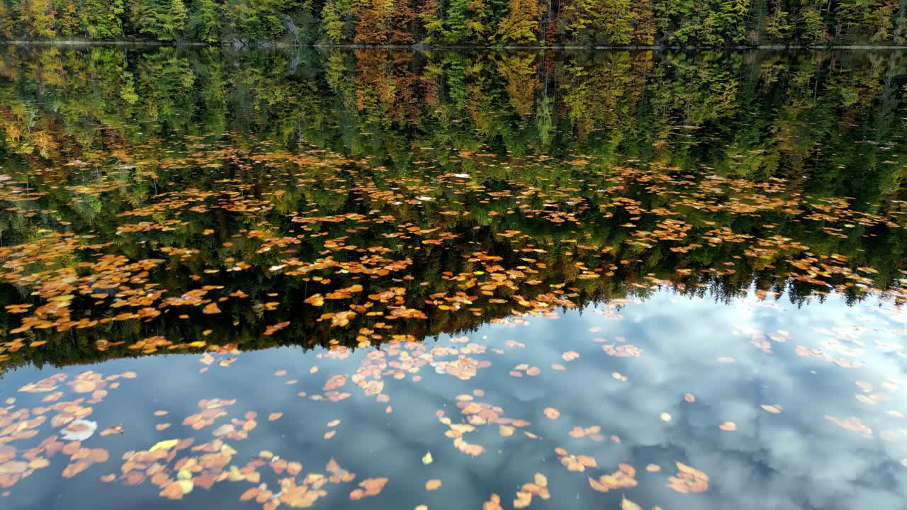 Autumn leaves pirouette on a calm lake, mirroring the fiery hues of the changing forest