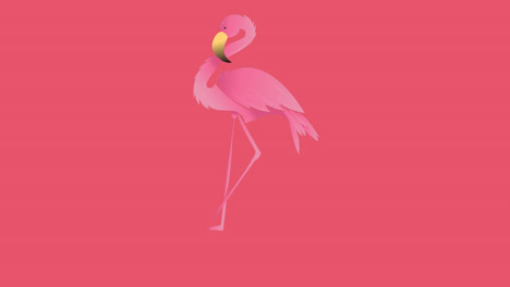 Animation-Von-Flamingo-über-Blauem-Abstraktem-Muster-Auf-Rosa-Hintergrund