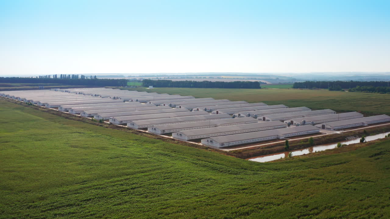 Well-kept territory of modern agricultural industry farmhouse. Manmade pond for farming purposes beside the farm. Sunny day backdrop.