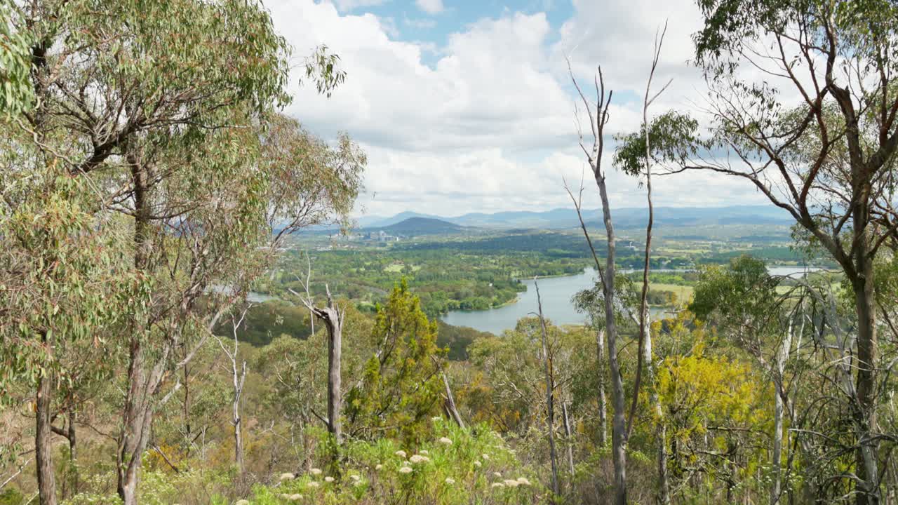 A wider view of Canberra’s southern suburbs from the top of Black Mountain, revealing more of the city’s layout and surrounding landscape.