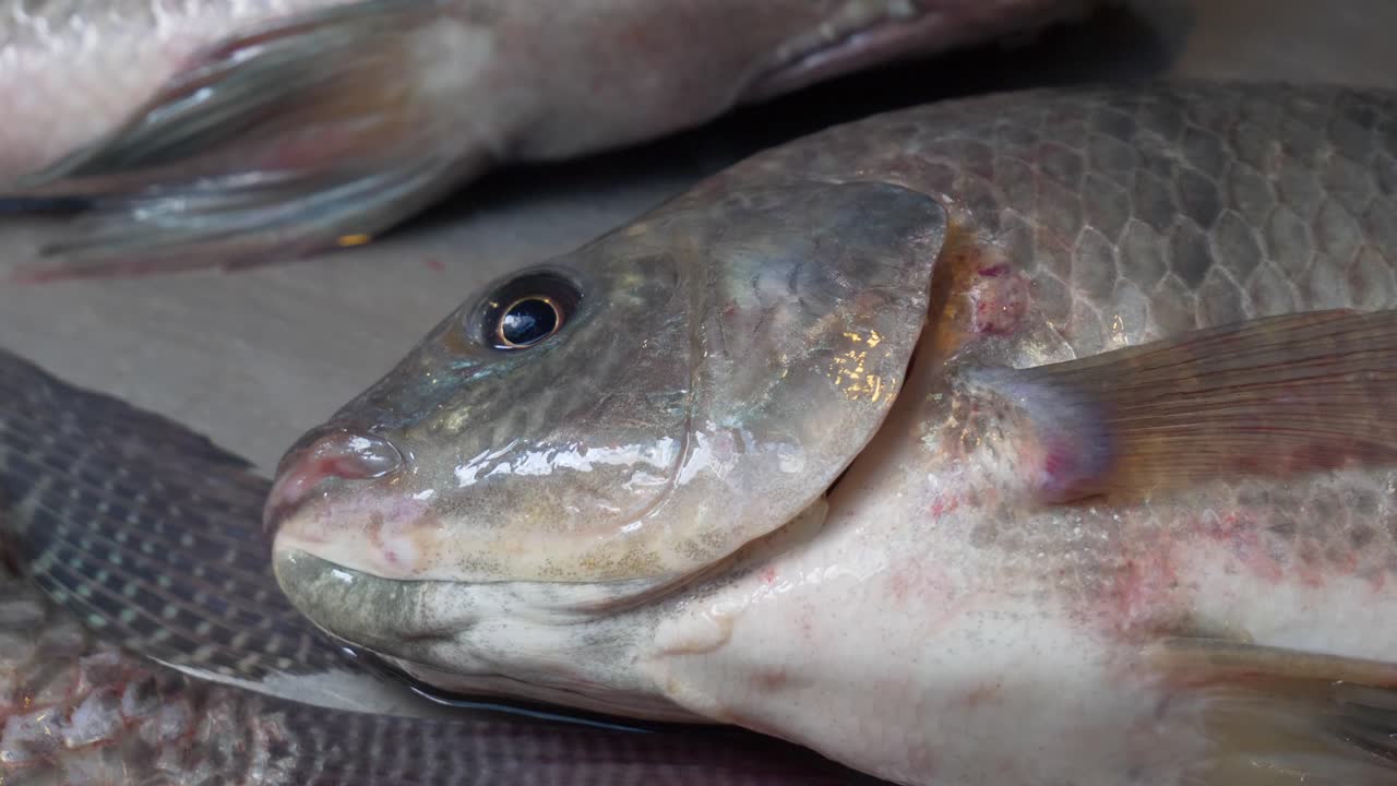 peces tilapia viven respirando en el mostrador en el mercado de mariscos de la calle asiática tailandesa para la venta vender