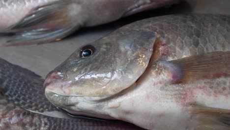 peces tilapia viven respirando en el mostrador en el mercado de mariscos de la calle asiática tailandesa para la venta vender