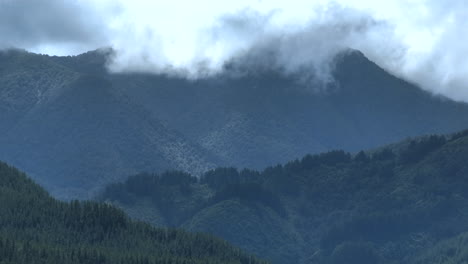 drone shot of white clouds covering heavily forested mountain range, moody landscape in new zealand