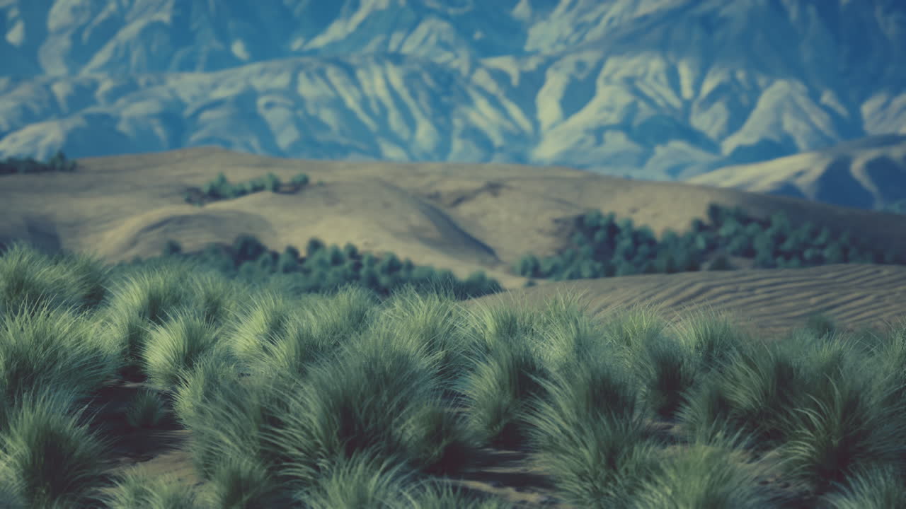 impresionante paisaje desértico con hierba verde y montañas en la distancia