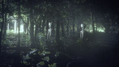 eerie woods at night with a menacing group of roswell-style grey aliens standing silently in the misty shadows, with an unearthly light shining through the trees in the background