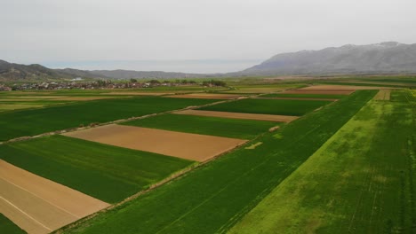 brown and green stripes of agricultural parcels in spring, aerial view near village