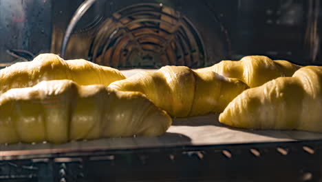 homemade crescent rolls - tray of croissants baked in the oven