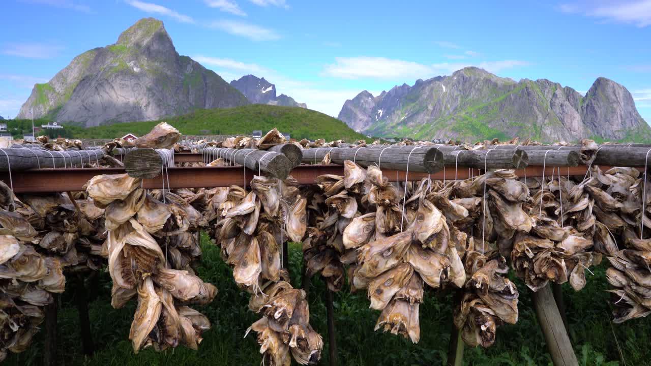 랙에서 물고기 머리를 건조하는