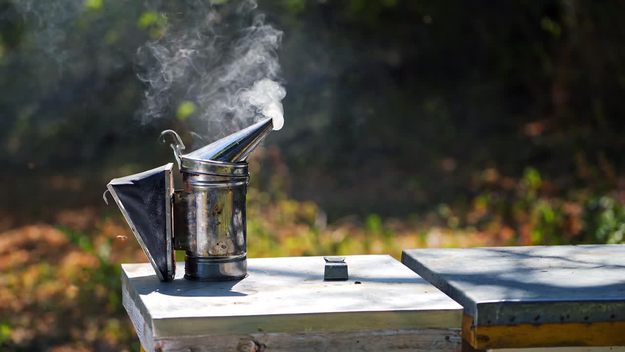 Chimney with smoke on a beehive. Smoker tool stands on a hive. Bees flying around. Beekeeping tool smoking. Apiculture concept.
