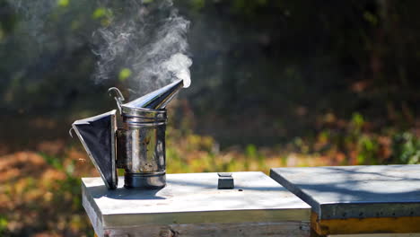 chimney with smoke on a beehive. smoker tool stands on a hive. bees flying around. beekeeping tool smoking. apiculture concept.