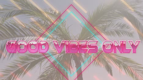 animation of the words good vibes only in pink with diamond and moving lines over sunlit palm tree