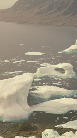 icebergs floating in the arctic ocean