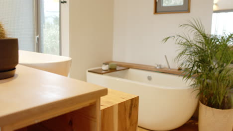 modern bathroom with elegant bathtub and lush green plant for relaxation, copy space