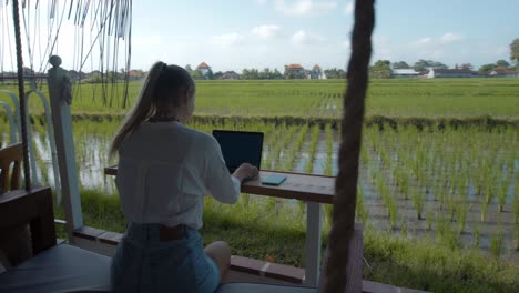 a young european girl in a blue dress remotely online working on laptop and looking into the screen on the backyard with green plants