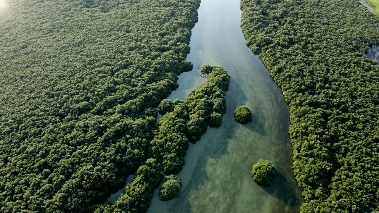 아즈만 맹그로브 카약의 최고 전망, 아즈만의 두꺼운 천연 맹그로브는 아랍 에미레이트, 4k 푸티지에서 102종이 넘는 토착 조류와 철새의 서식지입니다.
